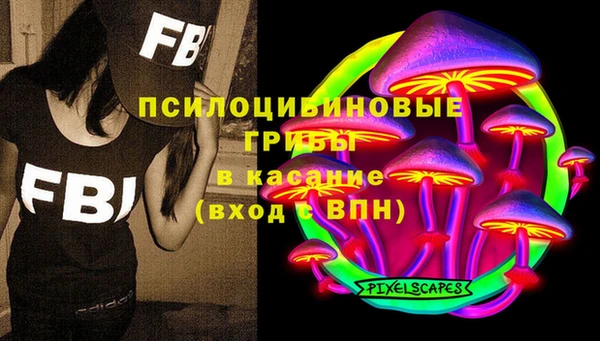СК Верея