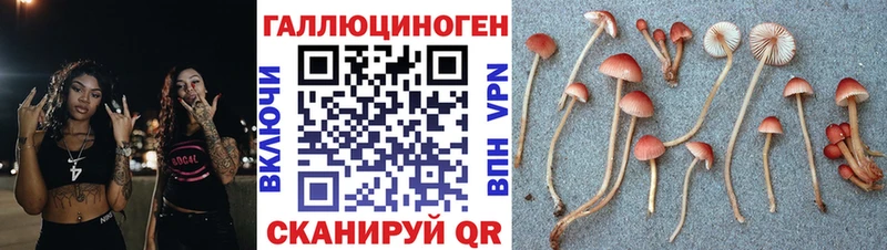 Галлюциногенные грибы Magic Shrooms цены наркотик KRAKEN ONION Монино